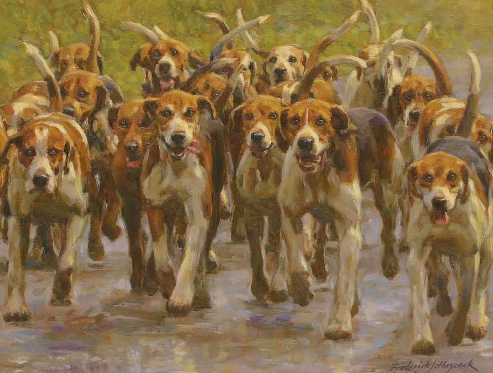 Dogs at Stanstead Mountfitchet